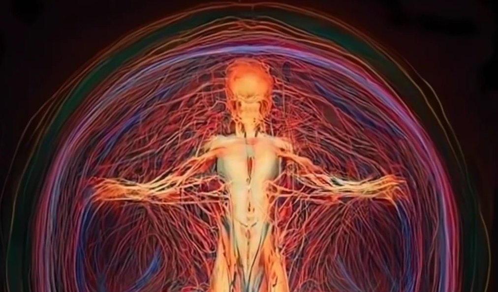 About Our Electromagnetic Field or Subtle Body